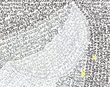 Detail: The moon. Micrography artwork of Bat Sheva by Rae Antonoff / RaeAn Designs